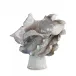 Waved Porcelain Vase Small