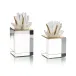 Brass and Selenite Cluster on Crystal Set of 2
