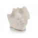 Facial Fragment