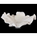Floating Wave Bowl