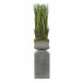 Grassland