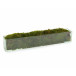 Moss Mound