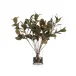 Magnolia Branches 30"H X 31"W X 20"D