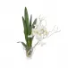 Orchids in Bloom 28"H X 27"W X 16"D