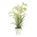 Maidenhair Fern Hd-67"H x 34"W x 34"D