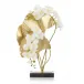 Ginko Orchids
