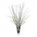 Smoky Willows