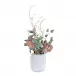 Desert Blooms