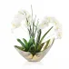 Elegant Real Touch Orchids