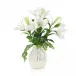 Lilies in the Field