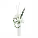 White Lily Elegance
