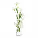 White Iris and Peonies