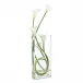 Classic Calla Lilies
