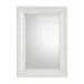 Having a Ball Rectangular Mirror