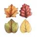 Forest Walk Leaf Plate Assorted Set of 4