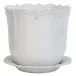 Berry & Thread Whitewash 12" Planter