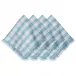 Gingham Ruffle Ocean Napkin Set of 4