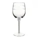 Isabella Acrylic Wine Glass