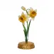 Meadow Walk Daffodil Yellow Place Card Holder