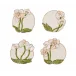 Orchid Multi Coasters Set of 4 in a Gift Bag