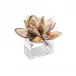 Beachcomber Natural Napkin Ring Set of 4 in a Gift Box