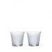 Wingen Set of Two Tumblers