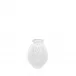 Plumes Small Vase, Clear Crystal