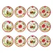 Noelle Set Of 12 Assorted Christmas Ornaments 3" Diameter