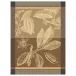 Chocolats Feve Brown Tea Towel 24" x 31"