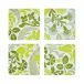 Voyage Iconique Green Set Of 4 Coasters 3" x 3"