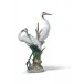 Courting Cranes