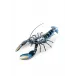 Lobster (Blue)