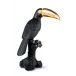 Toucan (Black - Gold)