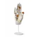 Protection Mudra