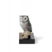 Lucky Owl