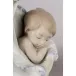 Tender Dreams