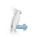 Parrot Hang I