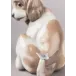 Gentle Surprise