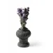 Iris Flowers Pot - Warrior Boy