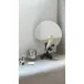 Parrot Vanity