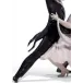 Elegant Foxtrot
