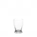 TS1GL Water Tumbler