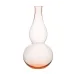Kalebassen Flower Vase BV71 I. rosalin 04