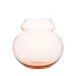 Kalebassen Flower Vase BV71 III. rosalin 04