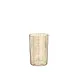 B Gold Water Tumbler
