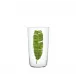 TS4GM Beer Tumbler Green Climate Fund