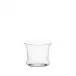 Reigen Tumbler Leocadia