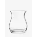 Flower Open Posy Vase Height 9 in Clear