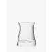 Flower Clear Garden Posy Vase H5in