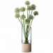 Lotta Vase & Ash